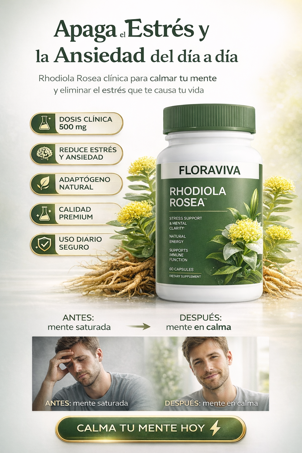 Rhodiola Rosea Capsules: Destruye el Estrés y el cansancio que sientes desde la primera toma