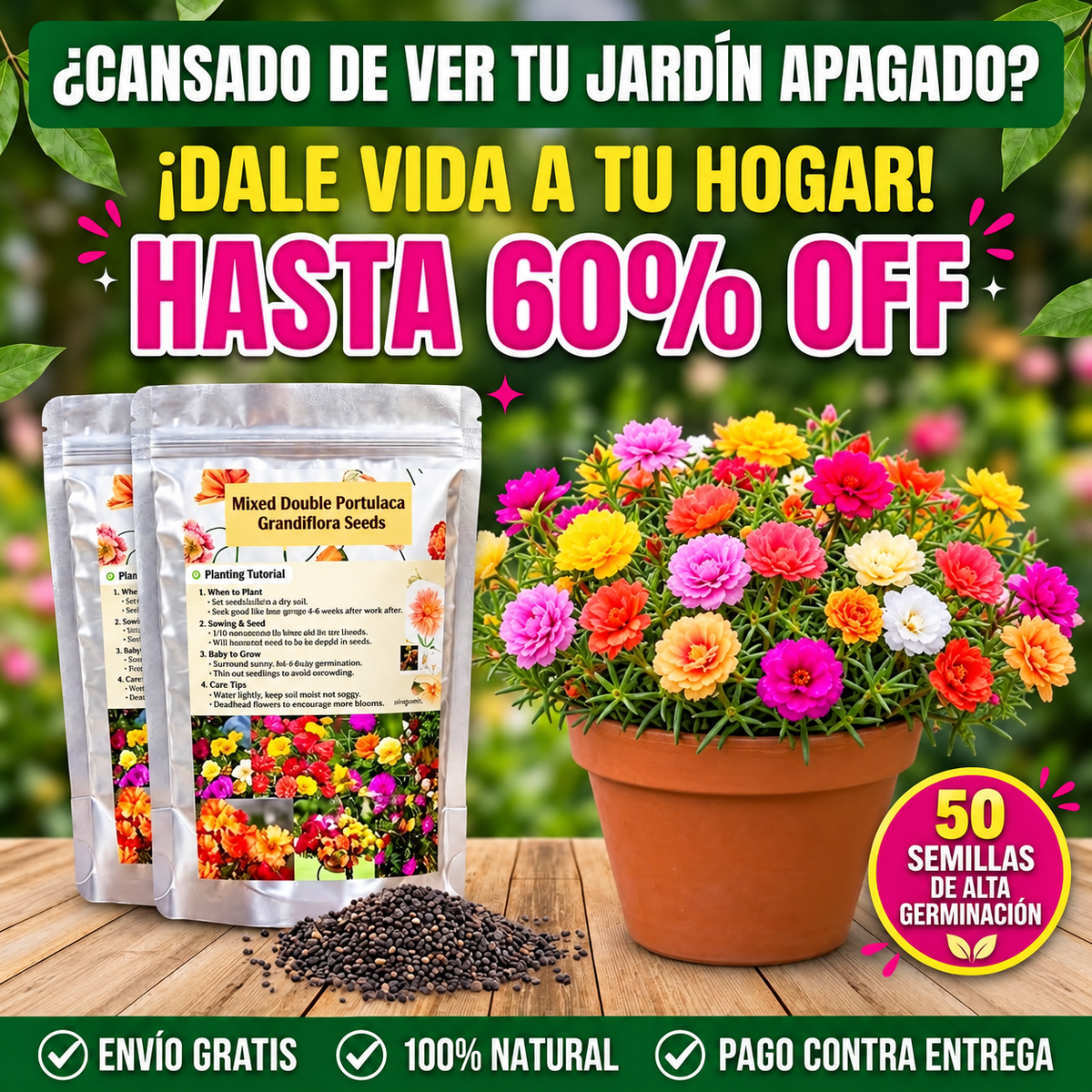 50 Semillas De Flor Rosas Musgo