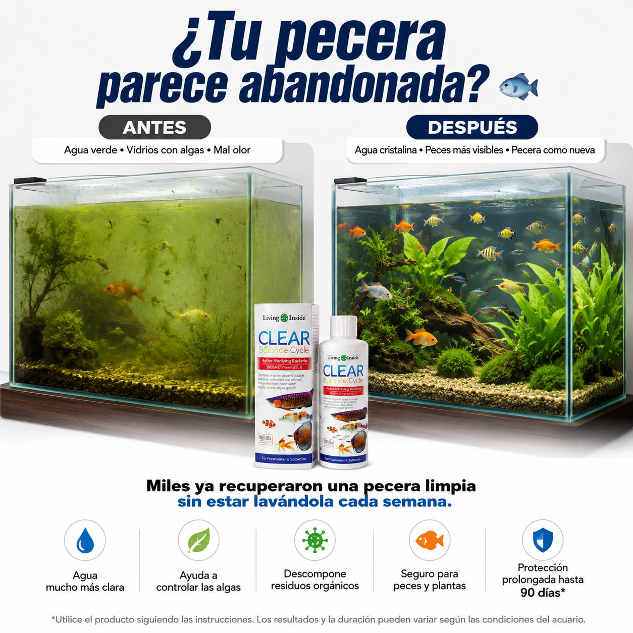 Clear balance cycle – Tu Pecera Como Nueva 🌊