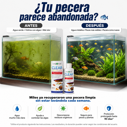 Clear balance cycle – Tu Pecera Como Nueva 🌊