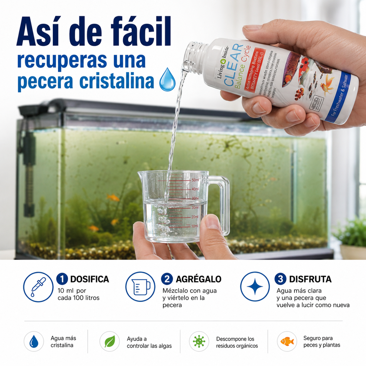 Clear balance cycle – Tu Pecera Como Nueva 🌊
