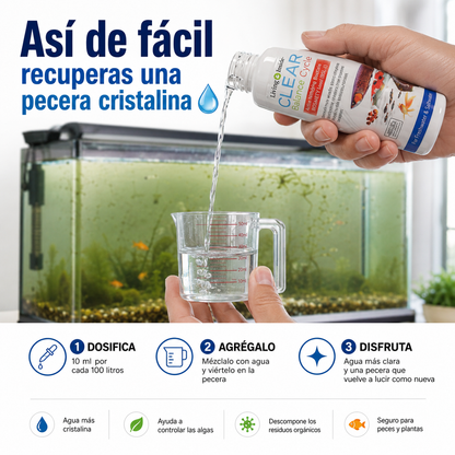 Clear balance cycle – Tu Pecera Como Nueva 🌊